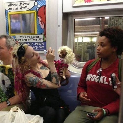 25 Most WTF Things EVER Seen On Public Transit.