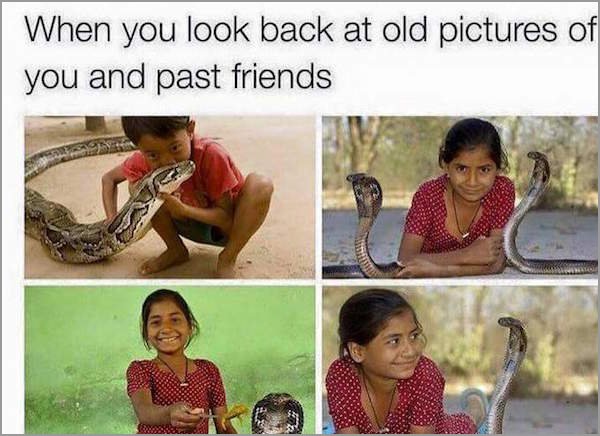 snake friends meme - When you look back at old pictures of you and past friends