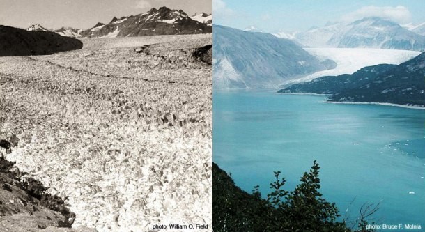 Between 1941 (left) and 2004 (right), the Muir Glacier in Alaska retreated more than twelve kilometers (seven miles) and thinned by over 800 meters (2625 feet). Ocean water has filled the valley replacing the ice.