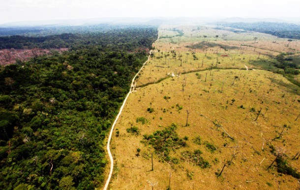 To reveal the shocking consequences of deforestation in Brazil, one photo is enough. The left side of the picture shows the part of the rain forest that has not been cut yet while the right side features already deforested area.