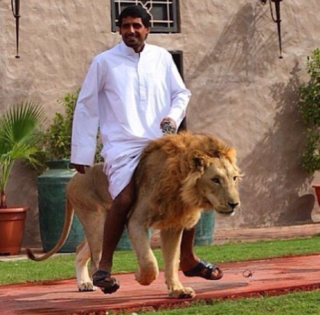 30 Photos That Prove Dubai Is The Craziest Place On Earth