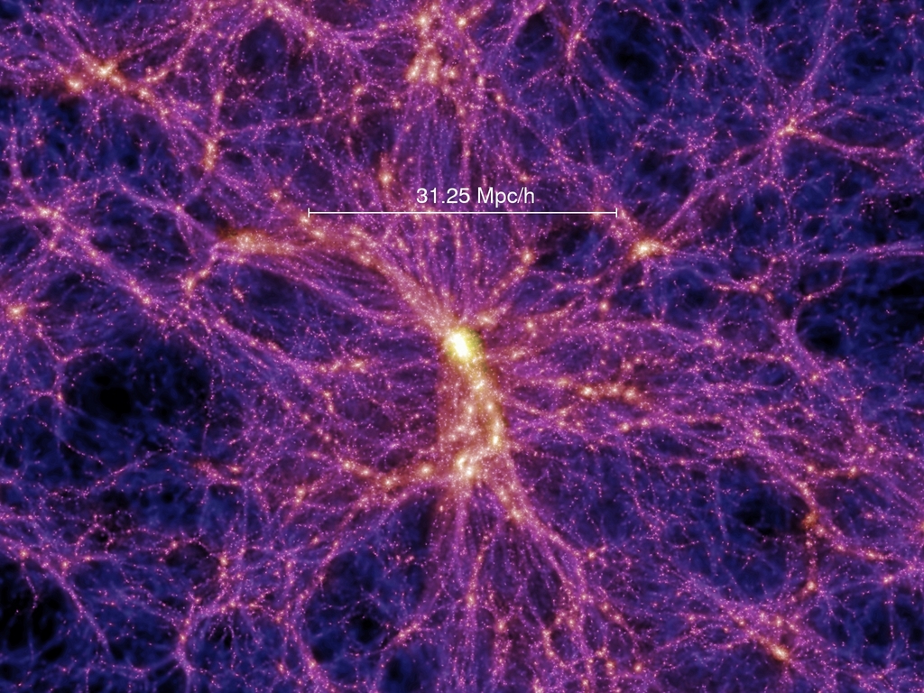 structure of galaxy filaments