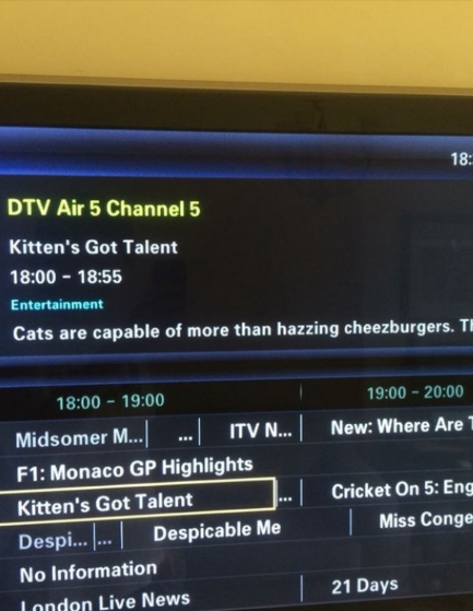 multimedia - Dtv Air 5 Channel 5 Kitten's Got Talent Entertainment Cats are capable of more than hazzing cheezburgers. Th Midsomer M... ... Itv N... | New Where Are F1 Monaco Gp Highlights Kitten's Got Talent Cricket On 5 Eng Despi... ... Despicable Me Mi