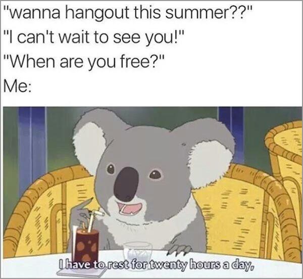 koala rest meme - "wanna hangout this summer??" "I can't wait to see you!" "When are you free?" Me I have to rest for twenty hours a day,
