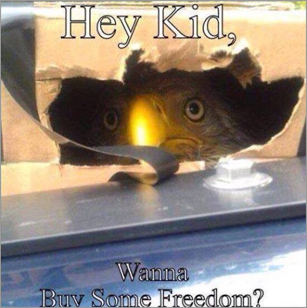 hey kid wanna buy some freedom - Hey Kid, Wanna Buy Some Freedom?