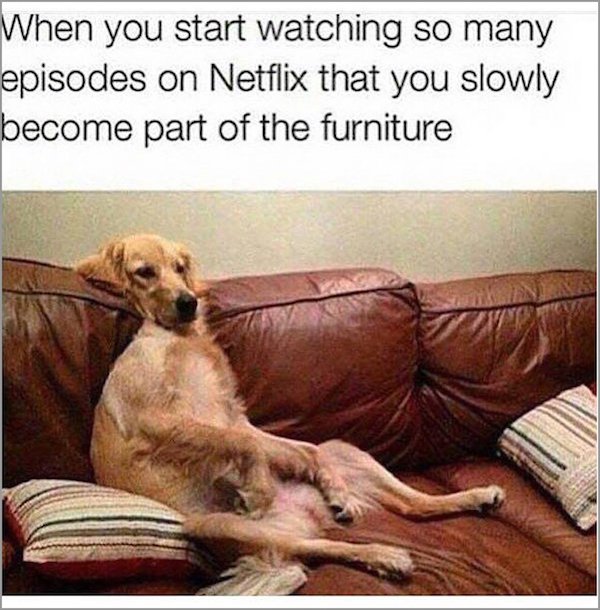 netflix meme are you still there - When you start watching so many episodes on Netflix that you slowly become part of the furniture