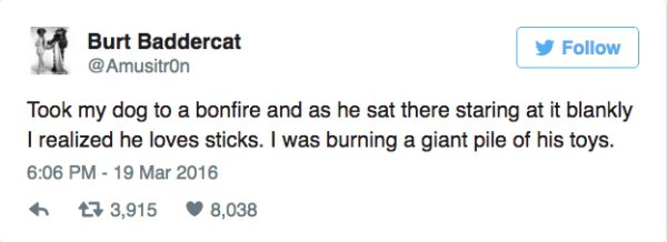 kim kierkegaard - Burt Baddercat @ Amusitron y Took my dog to a bonfire and as he sat there staring at it blankly I realized he loves sticks. I was burning a giant pile of his toys. 7 3,915 8,038