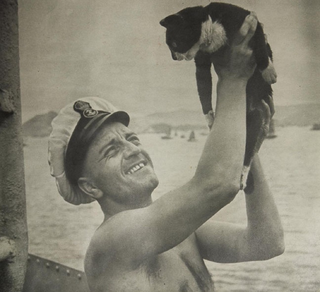 A cat named Simon served on a Royal Navy ship in 1949, and received a medal for raising morale, killing off a rat infestation and surviving cannon shells during his service. Hundreds attended his funeral when he died from infected wounds.