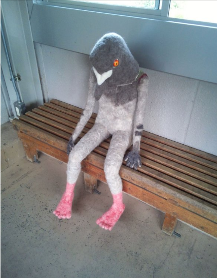 cursed images - cursed images pigeon