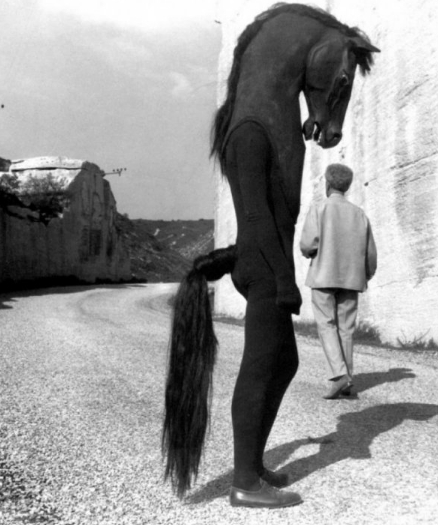 cursed images - human costume for horse