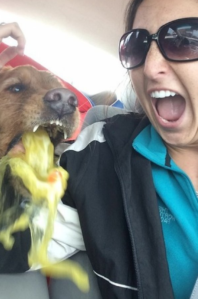 12 Badass Dogs Who DGAF About Your Selfies