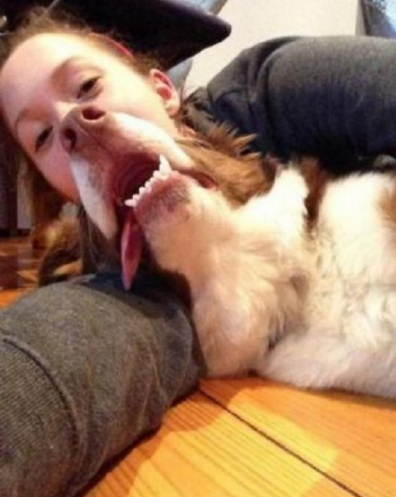12 Badass Dogs Who DGAF About Your Selfies