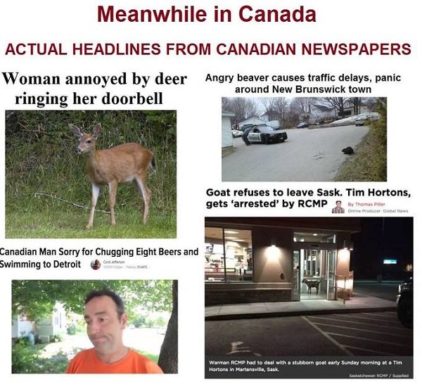 Meanwhile, in Canada