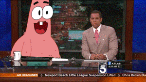 news blooper gif - Newport Beach Little League Suspension Lifted Chris Brown Du