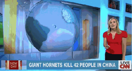 live news fails gif - Iii Giant Hornets Kill 42 People In China Cm Less