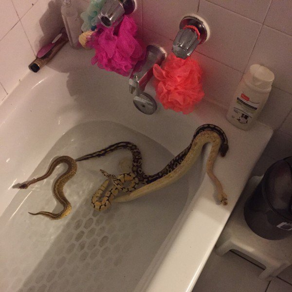 Pictures That Will Make You Say "Nope"