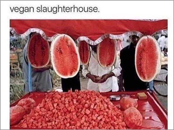 vegan slaughterhouse - vegan slaughterhouse.