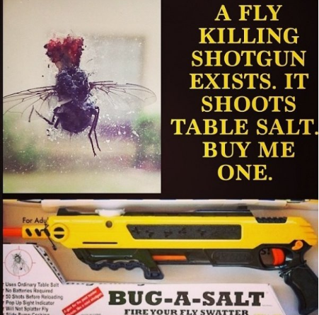 A salt gun to kill flies.