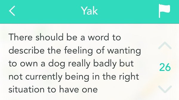 Yak There should be a word to describe the feeling of wanting to own a dog really badly but not currently being in the right situation to have one