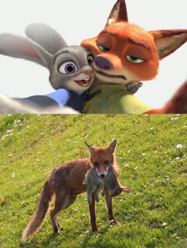 zootopia meme