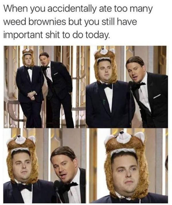 jonah hill memes - When you accidentally ate too many weed brownies but you still have important shit to do today.