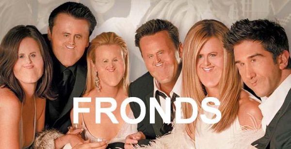 friends tv show - Fronds