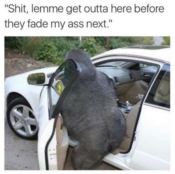 gorilla in a coupe - "Shit, lemme get outta here before they fade my ass next."