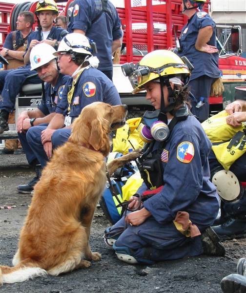 Rest In Peace Bretagne, the last known surviving 9/11 Rescue Dog