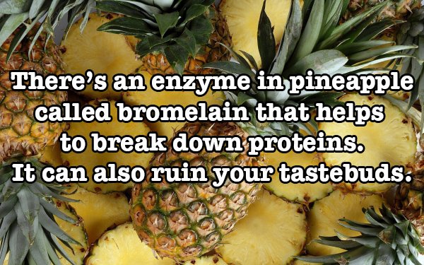 fresh pineapple - There's an enzyme in pineapple called bromelain that helps to break down proteins. It can also ruin your tastebuds.
