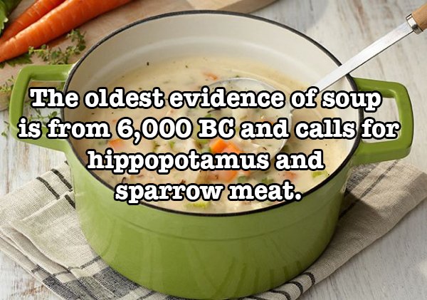 cookware and bakeware - The oldest evidence of soup is from 6,000 Bc and calls for hippopotamus and sparrow meat.