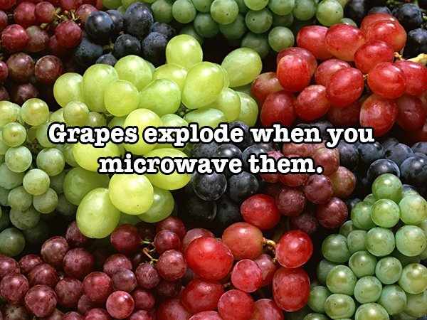 Grapes explode when you microwave them.