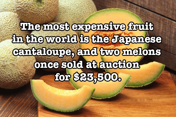fun food facts - The most expensive fruit in the world is the Japanese cantaloupe, and two melons once sold at auction for $23,500.