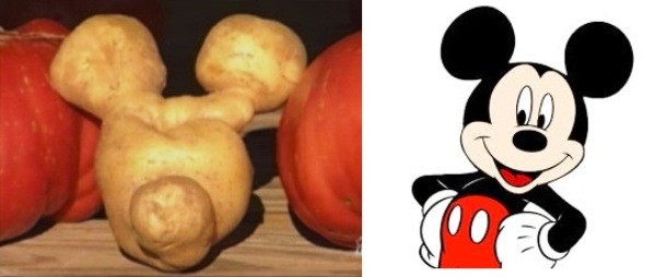 A potato that looks like Mickey Mouse