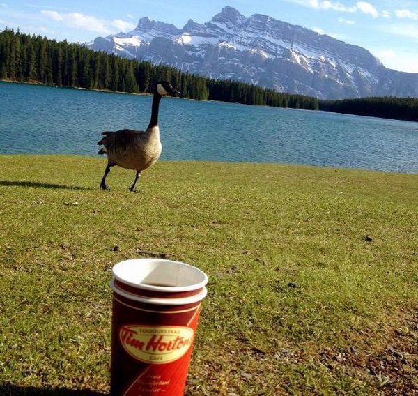 23 truly Canadian photos