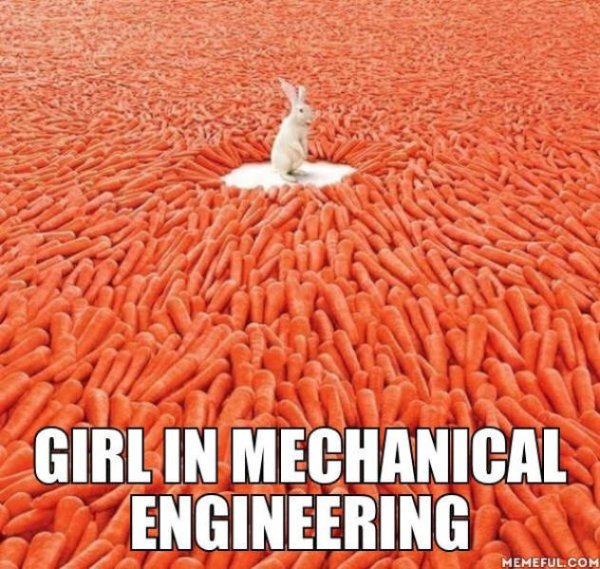 silly bunny heaven - Girl In Mechanical Engineering Memeful.Com