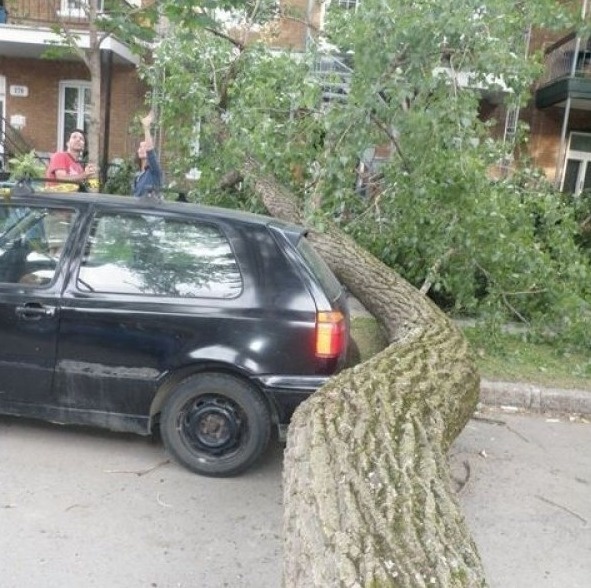 When a tree falls down and just barely misses your car.