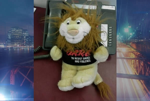 In 2014, a 22-year-old upstate New York man was arrested for possession of marijuana, cocaine, and LSD—all hidden inside a stuffed animal that was dressed in an anti-drug T-shirt. And you thought irony was dead.

Gregory Bolognese, of Plattsburgh, was arrested at a bus station near the Canadian border. He was found with two grams of pot, about a half-gram of cocaine and LSD inside a stuffed lion wearing a D.A.R.E. shirt.
D.A.R.E. stands for Drug Abuse Resistance Education, a program that aims to educate young people about staying away from drugs, gangs, and violence.

Some lessons are just harder than others.