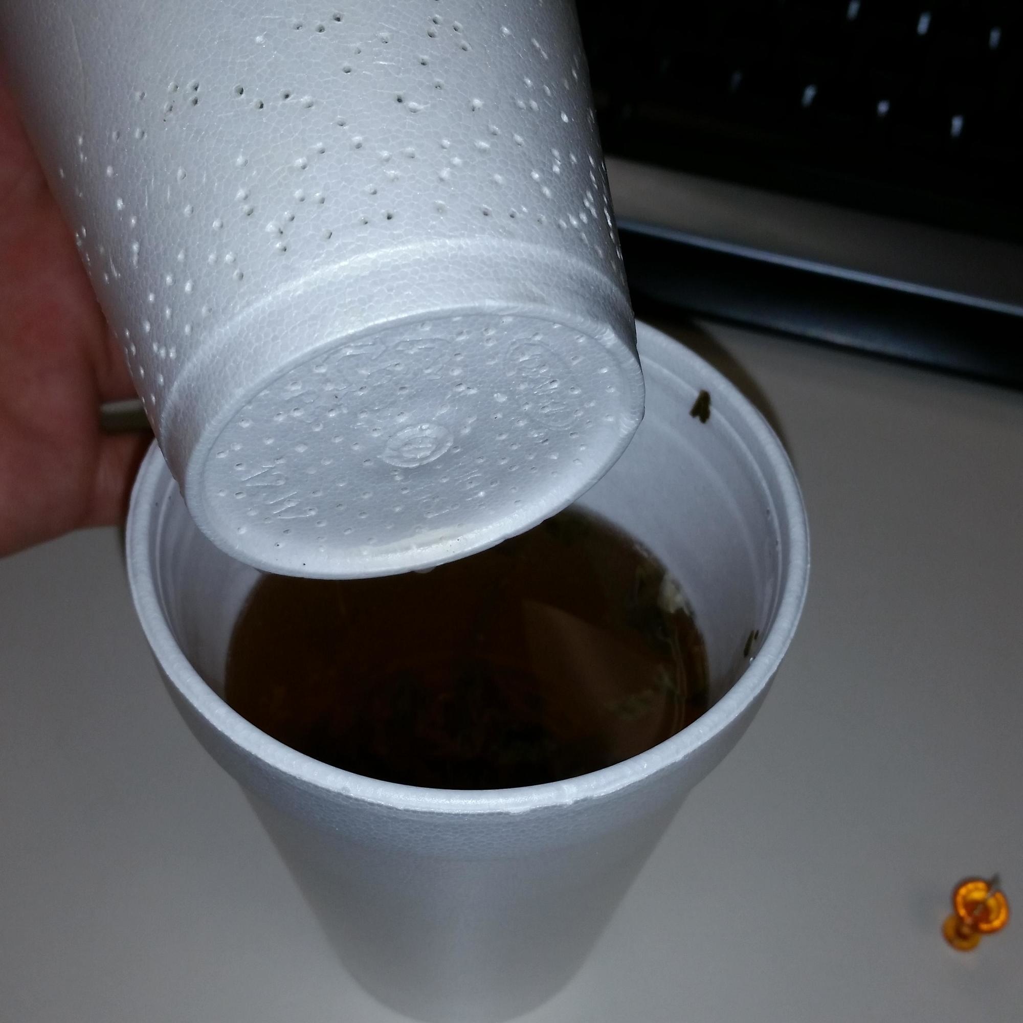 Use a styrofoam cup to create your own tea filter.