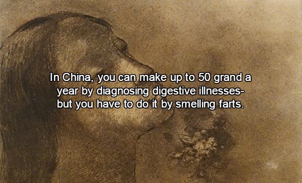 15 Facts about farts to appease your inner child