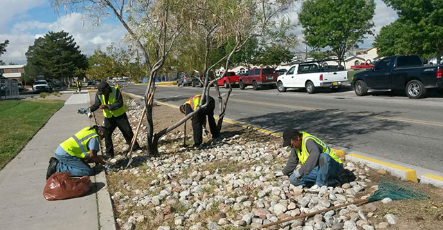 Last summer the city of Albuquerque started paying the homeless to clean up abandoned homeless camps around the city. The participants must work hard and on average five to six hours a day. In return they get $9 an hour plus a lunch of sandwiches, chips and granola bars