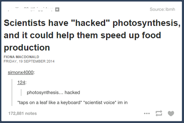 19 funny commenters are on point