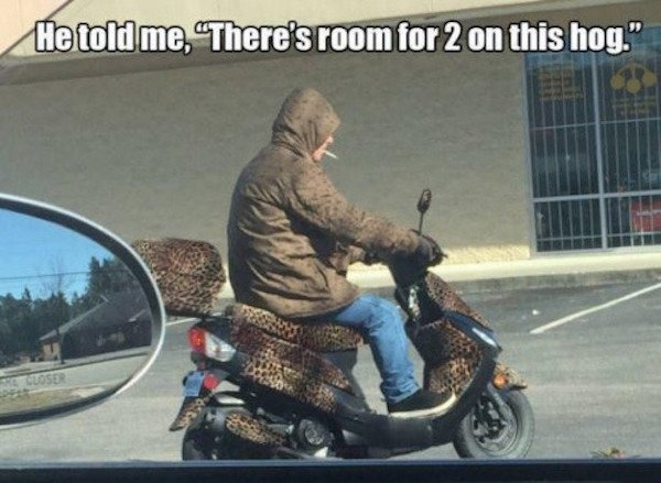 fail funny wild hogs memes - He told me, "There's room for 2 on this hog."