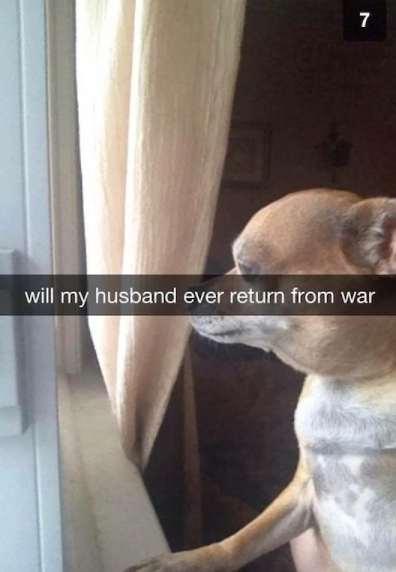 shoulder - will my husband ever return from war