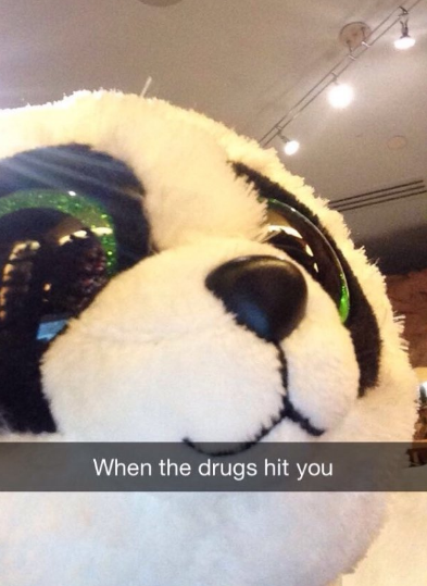 snapchat teddy bear - When the drugs hit you
