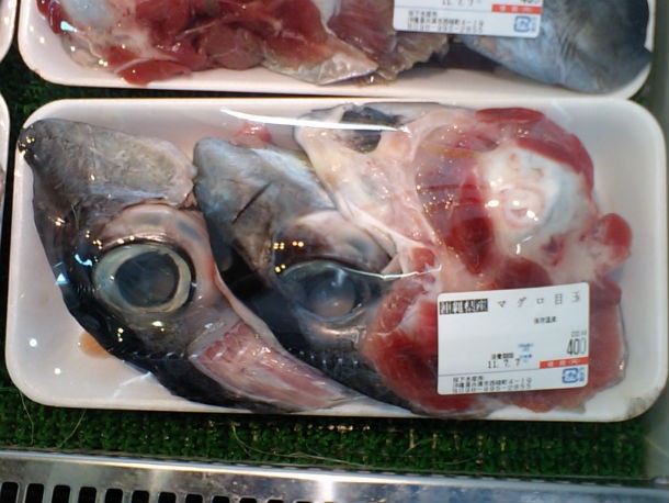 They say that tuna eyeballs taste like squid and is considered quite tasty in Japan. The eyeballs also have Dha, a polyunsaturated omega-3 fatty acid which is a major structural fat in the brain. So if you can get over the fact that your food is literally staring at you as it goes into your mouth and down your throat, tuna eyeballs are quite healthy for you.