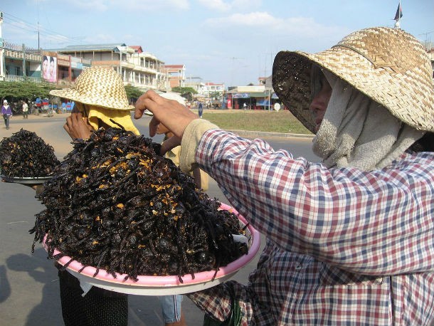 In most parts of the world the vast majority of people are either afraid of or disgusted by tarantulas; in Cambodia, however, they are a well-known specialty dish. They literally “burn them with fire”…and oil in this case.