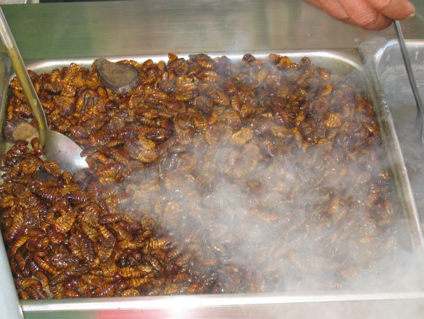 Beondegi are steamed or boiled silkworm pupae, which are then seasoned and eaten as a snack. Strangely, it is one of the most popular foods in Korean cuisine.