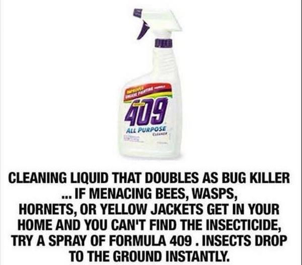 409 all purpose cleaner - 409 All Purpose Car Cleaning Liquid That Doubles As Bug Killer ...If Menacing Bees, Wasps, Hornets, Or Yellow Jackets Get In Your Home And You Can'T Find The Insecticide, Try A Spray Of Formula 409 .Insects Drop To The Ground Ins