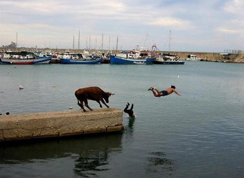 24 Photos That Were Taken At The Perfect Moment