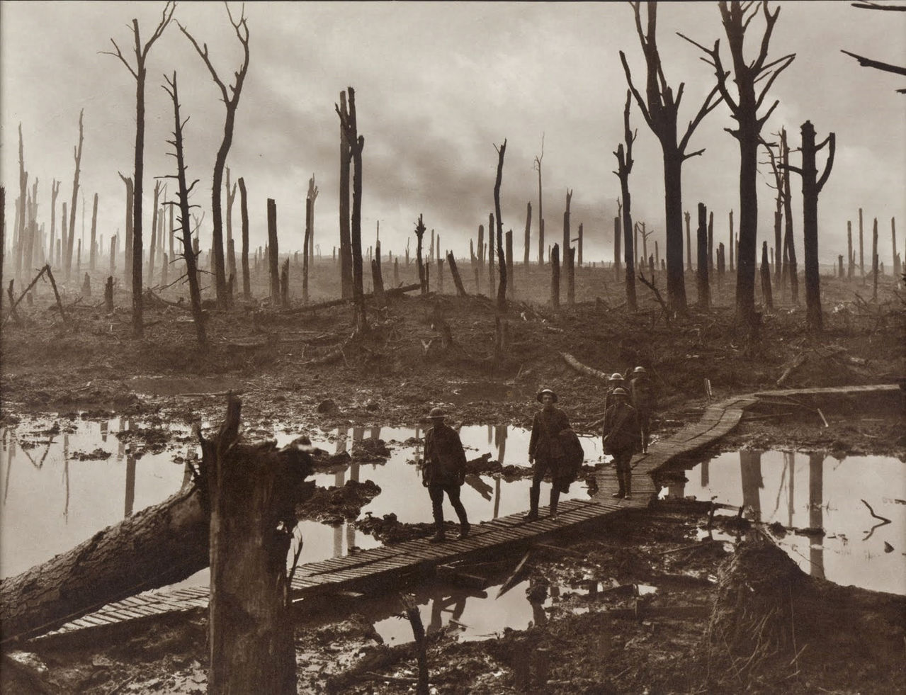 Chateau Wood After The Battle Of Ypres, WWI 1917